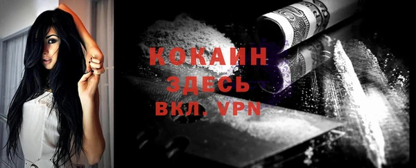 ешки Осинники
