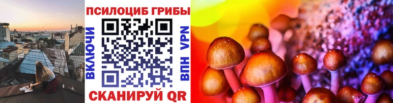 Купить закладки  Ачинск  Псилоцибиновые грибы ЛСД 